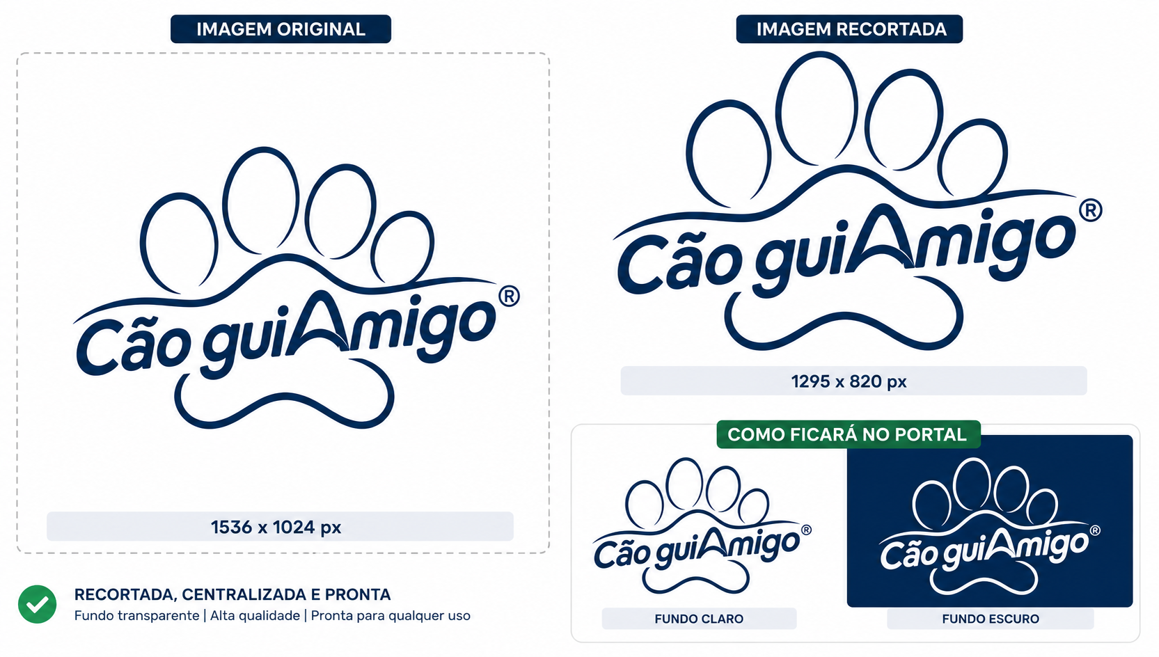 Cão guiAmigo